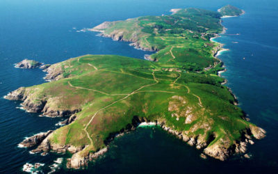 LA ISLA DE ONS