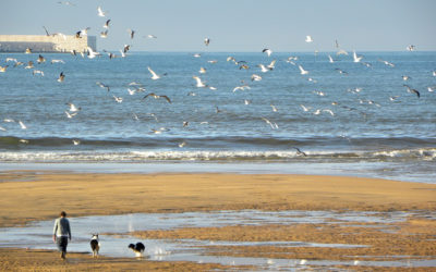 Descubre Gijón