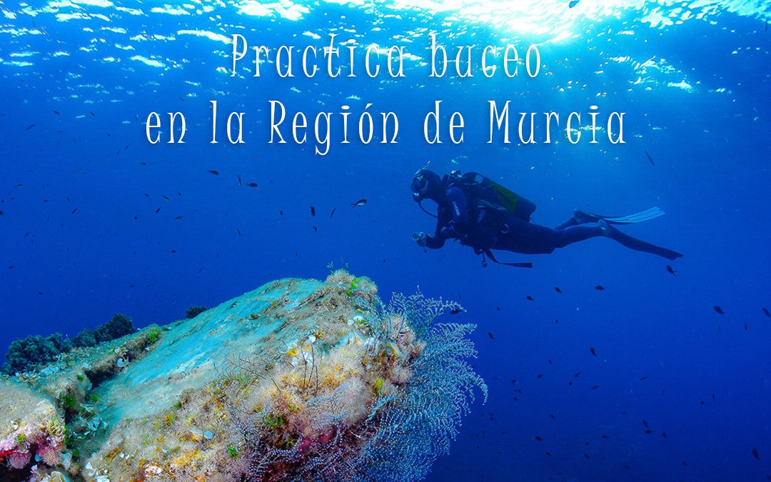 Practica buceo en la Región de Murcia
